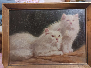 Perzsamacskák , két cica festmény