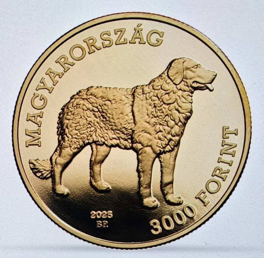 2025. KUVASZ MAGYAR PÁSZTOR- ÉS VADÁSZKUTYA FAJTÁK VI. KAPSZULÁBAN (BU) 3000 Ft UNC .
