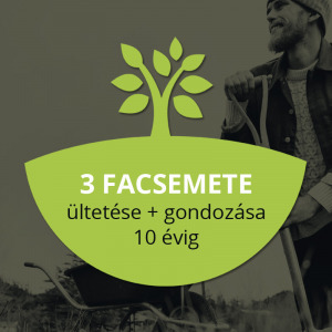 Myforest - közösségi erdő 3 db fa ültetése és gondozása - Vatera.hu Kép