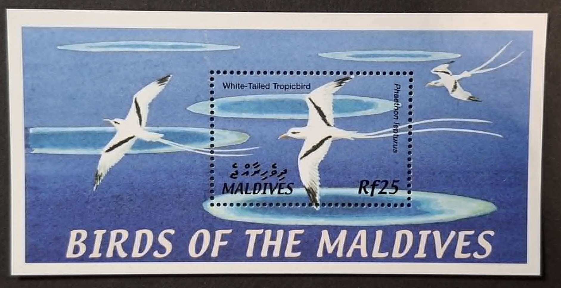 2002. Maldív-szigetek - Madarak blokk ** 7 &euro; (U-714)