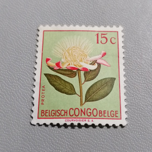 Bélyeg Belgium. *  / kongó / 1952.