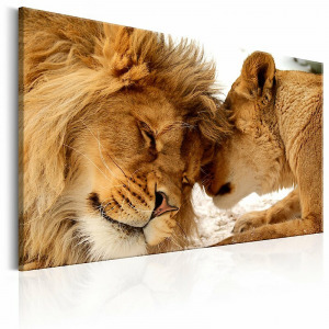 Kép - Szerelmes oroszlánok 60x40