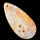 ÁSVÁNY-ÉKSZER-FOSSZÍLIA ~ 20 millió éves korall fosszília medál, saját gyűjtis darab D13678 Kép