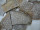 ÁSVÁNY-ÉKSZER-FOSSZÍLIA ~ 20 millió éves korall fosszília medál, saját gyűjtis darab D13678 Kép