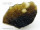 TEKTIT Indokinit, meteorit gyűjteményből RITKA gyűjteményes Kép