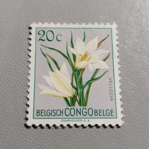 Pecsételt bélyeg Belgium.   / kongó / 1952.
