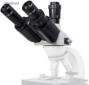 XSP trinokuláris mikroszkópfej
