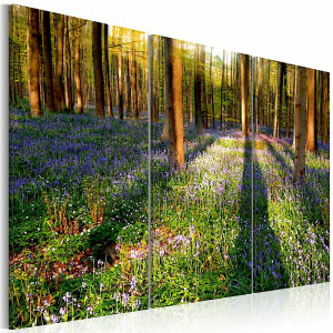 Kép - Tavaszi erdő 1 120x80