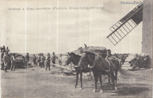 Aratnak a 10-es honvédek (Pachole, Orosz-Lengyelország) [1915.]