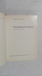 Albert Péter Pál: Tűzzománcozás - Ipari Szakkönyvtár (*19)