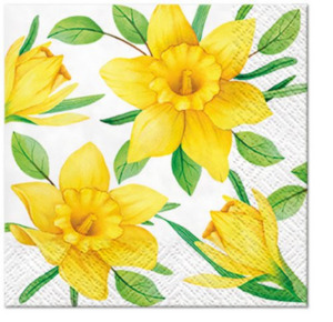 Daffodils in Bloom papírszalvéta 25x25cm, 20-db-os