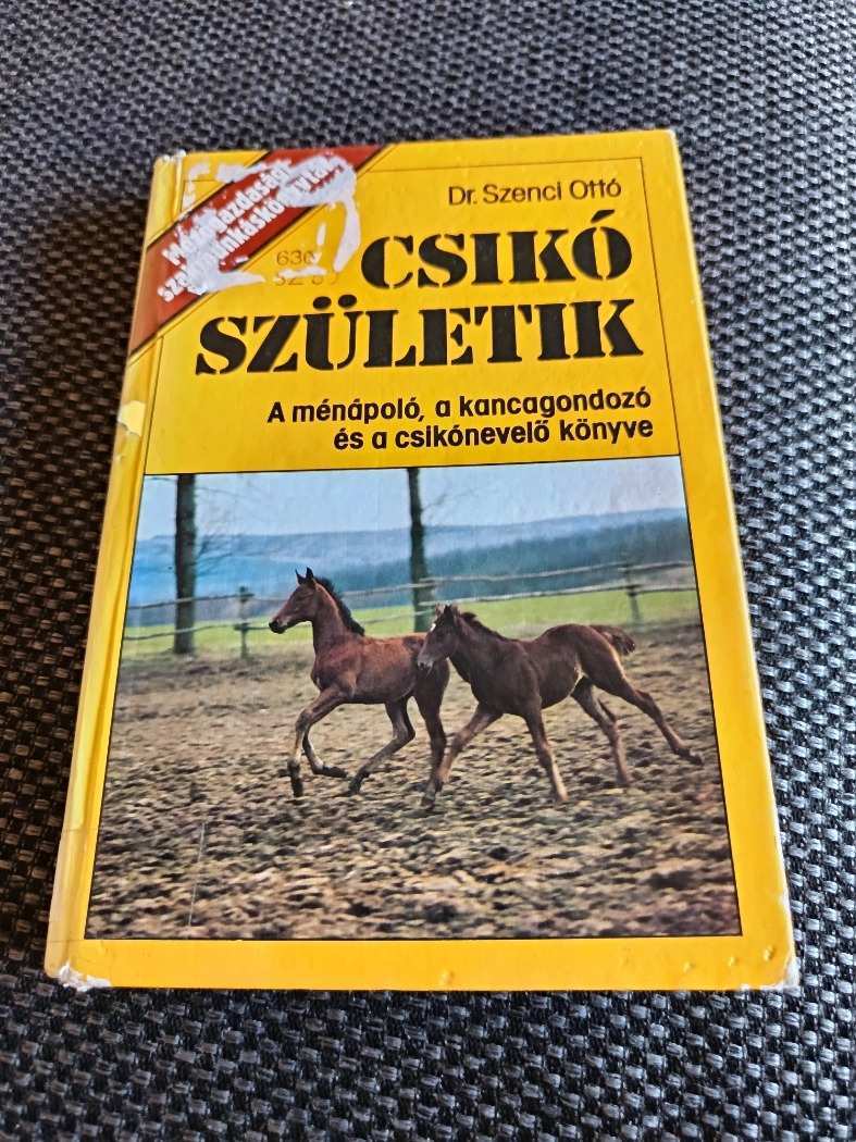 csik-sz-letik-szenci-ott-a-m-n-pol-a-kancagondoz-s-csik-nevel-k-nyve