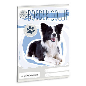 Cuki állatok kockás füzet - 27-32 - Border Collie