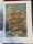 1901 Brehm: Az állatok világa 1-10 kötet TELJES szép, korabeli díszkötésben, gazdag képanyaggal *311 Kép