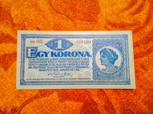 1920 -as ropogós 1 Korona bankó !!! (L2768)