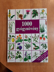 Hans W. dr. Kothe : 1000 gyógynövény