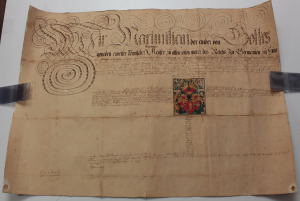 Nemesi oklevél - Miksa német-római császár, magyar király adománylevele (korabeli papír másolat)