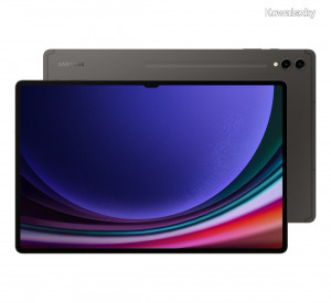 Samsung Galaxy Tab S9 Ultra 14,6 256GB Wi-Fi Gray SM-X910NZAAEUE