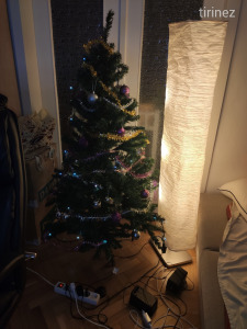 műfenyő,  karácsonyfa