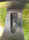 Momo Hyperstar R16 alufelni (meghosszabbítva: 3275786702) - Vatera.hu Kép