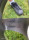 Momo Hyperstar R16 alufelni (meghosszabbítva: 3275786702) - Vatera.hu Kép