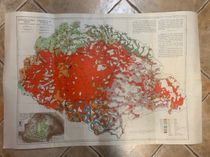 1920 Magyarország néprajzi térképe --  Teleki Pál  --  a híres vörös térkép (*311)