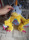Digimon plüss (meghosszabbítva: 3275408606) - Vatera.hu Kép