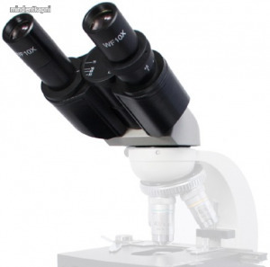 XSP binokuláris mikroszkópfej