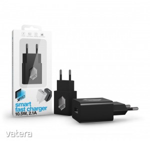 Smart Charger Black (2.1A)