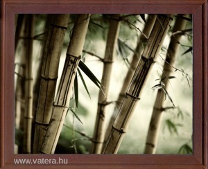 Ingyen posta, kész kép fakeretben, vászonkép, Növény, Bambusz