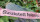 Leánybúcsú lánybúcsú fátyol BRIDE feliratos fejpánton rózsaszín SZÜLETETT FELESÉG vállszalaggal Kép