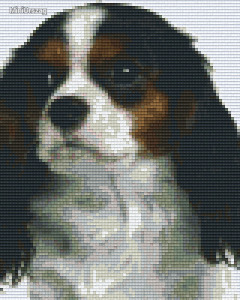 Pixel szett 4 normál alaplappal, színekkel, kutya, beagle (804208)