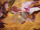 Gyönyörű JOULES női akril sál / stóla - 200cm x 70cm - Hibátlan ! Kép