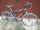 26 férfi kerékpár  CORSO (meghosszabbítva: 3343177811) - Vatera.hu Kép