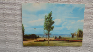 Balatonszárszó. Park