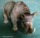Orrszarvú, rinocérosz élethű porcelán szobor - 33 cm (meghosszabbítva: 3123700451) - Vatera.hu Kép