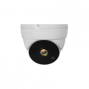 LevelOne ACS-5302 biztonsági kamera Dóm CCTV biztonsági kamera Beltéri és kültéri Plafon (ACS-5302)
