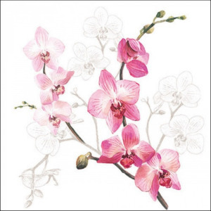 Orchid papírszalvéta 33x33cm, 20db-os