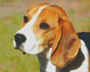 Pixel szett 9 normál alaplappal, színekkel, kutya, beagle (809381)
