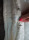 Yessica C&A  női dzseki gyönyörű pille könnyű 40 (meghosszabbítva: 3277834886) - Vatera.hu Kép